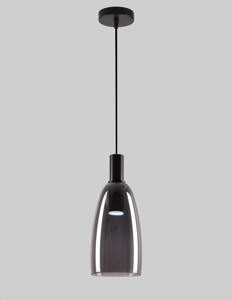 Светильник подвесной F2824-09