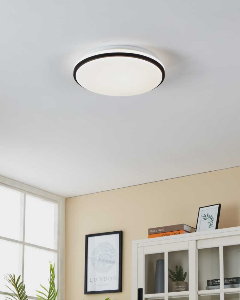 Настенно-потолочный светильник Eglo Pinetto 900366