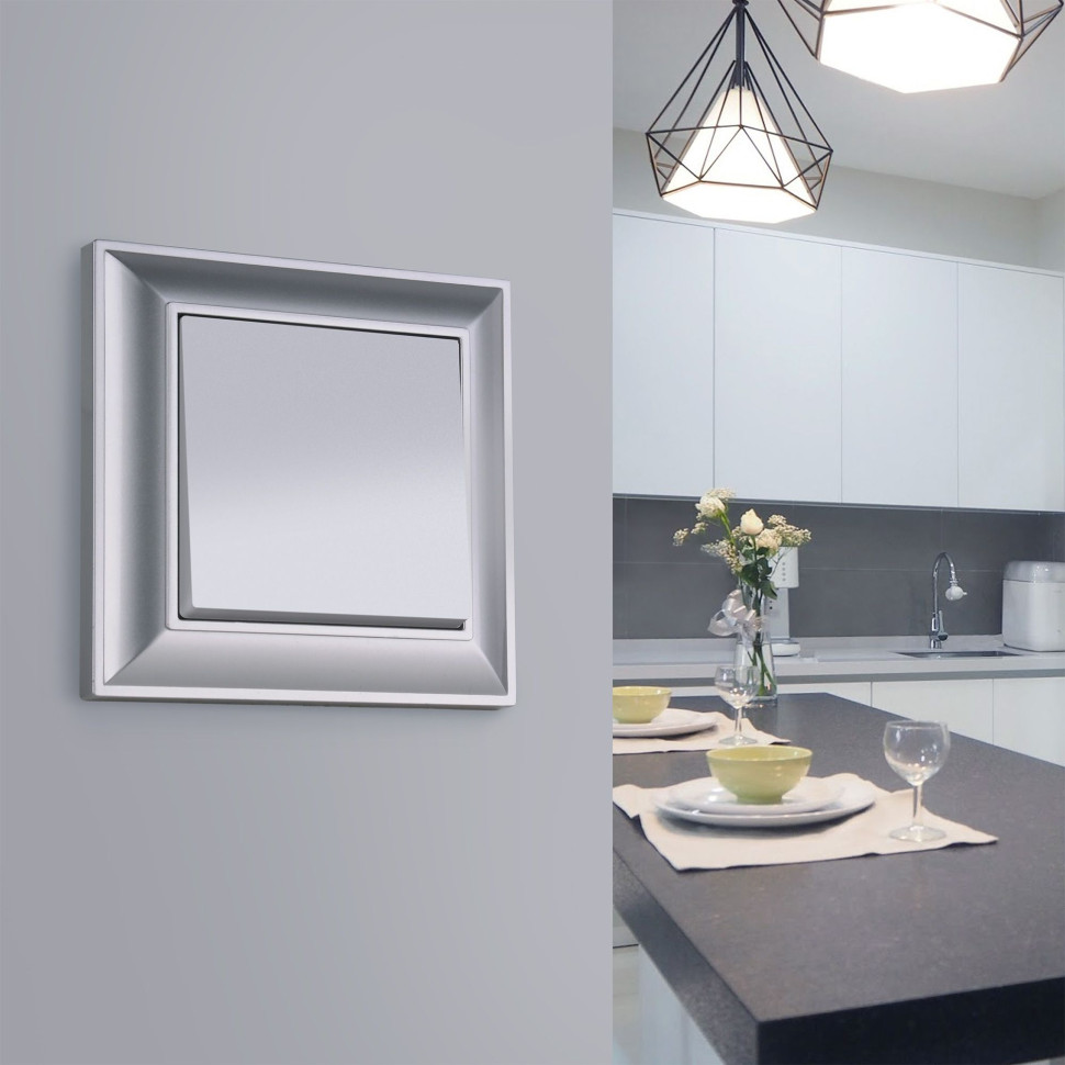 Рамка из поликарбоната на 1 пост Fiore серебряный W0012206