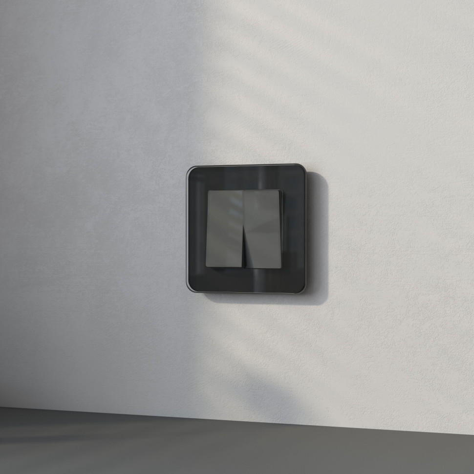 Перекрестный выключатель двухклавишный (графит акрил) W1123044