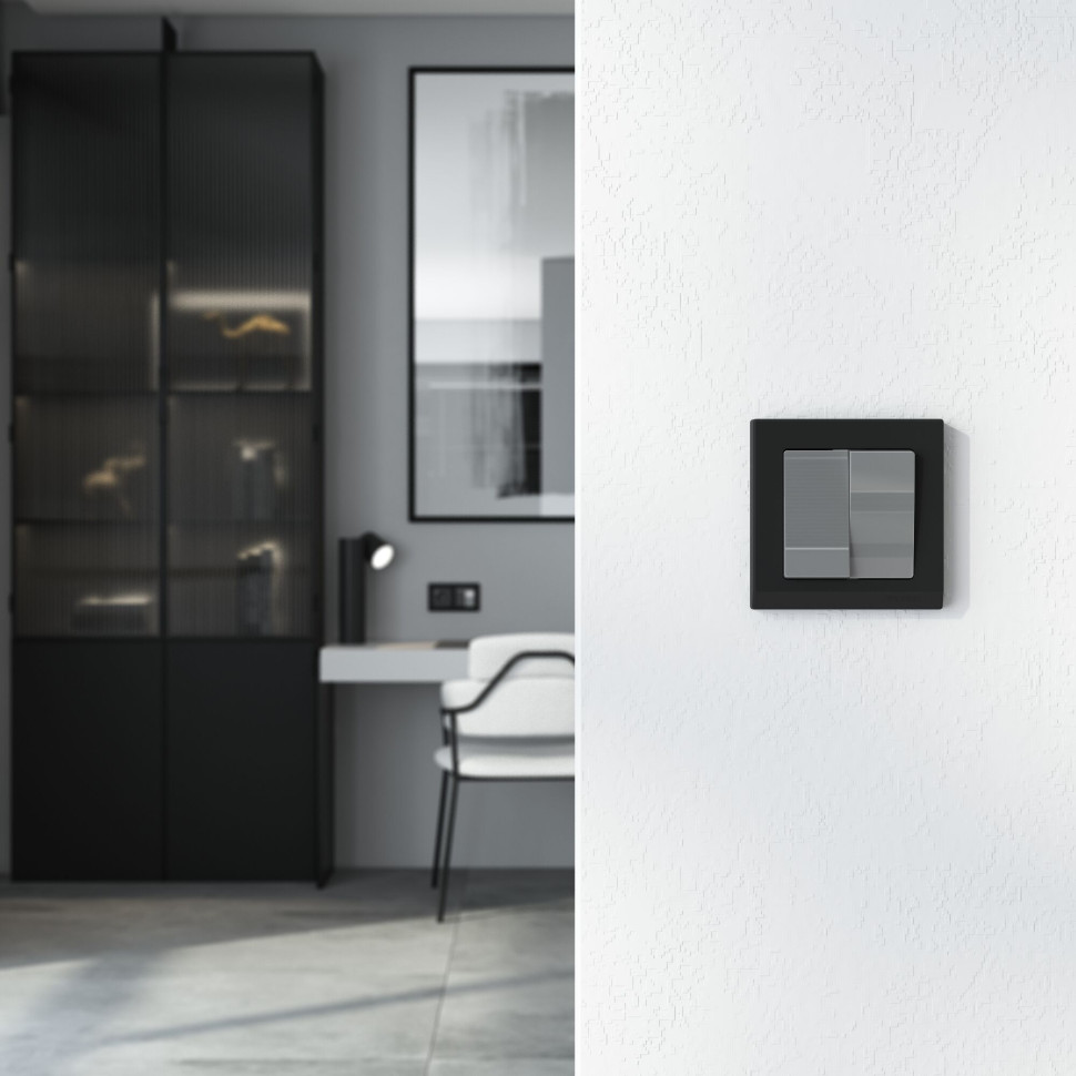 Перекрестный выключатель двухклавишный (графит акрил) W1123044