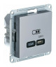 Зарядное устройство USB Type C 65W Schneider Electric Atlas Design сталь ATN000927
