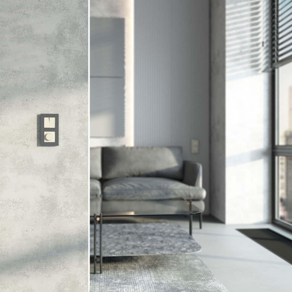 Диммер N (слоновая кость) W1142003