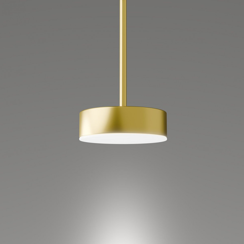 Подвесной светильник Lightera Taylor LE242L-1G