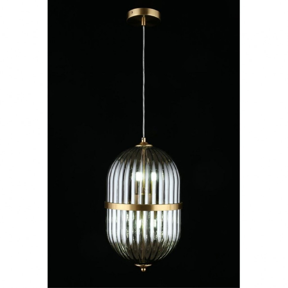 Подвесной светильник Aployt Ludovica APL.860.06.06