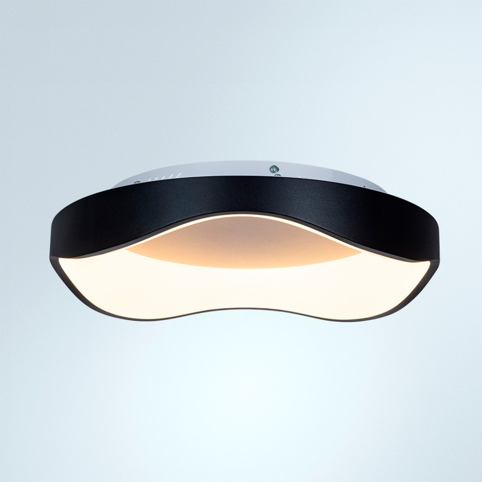 Потолочный светильник Arte Lamp Ankaa A3085PL-48BK