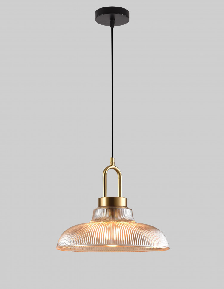 Светильник подвесной F2824-16