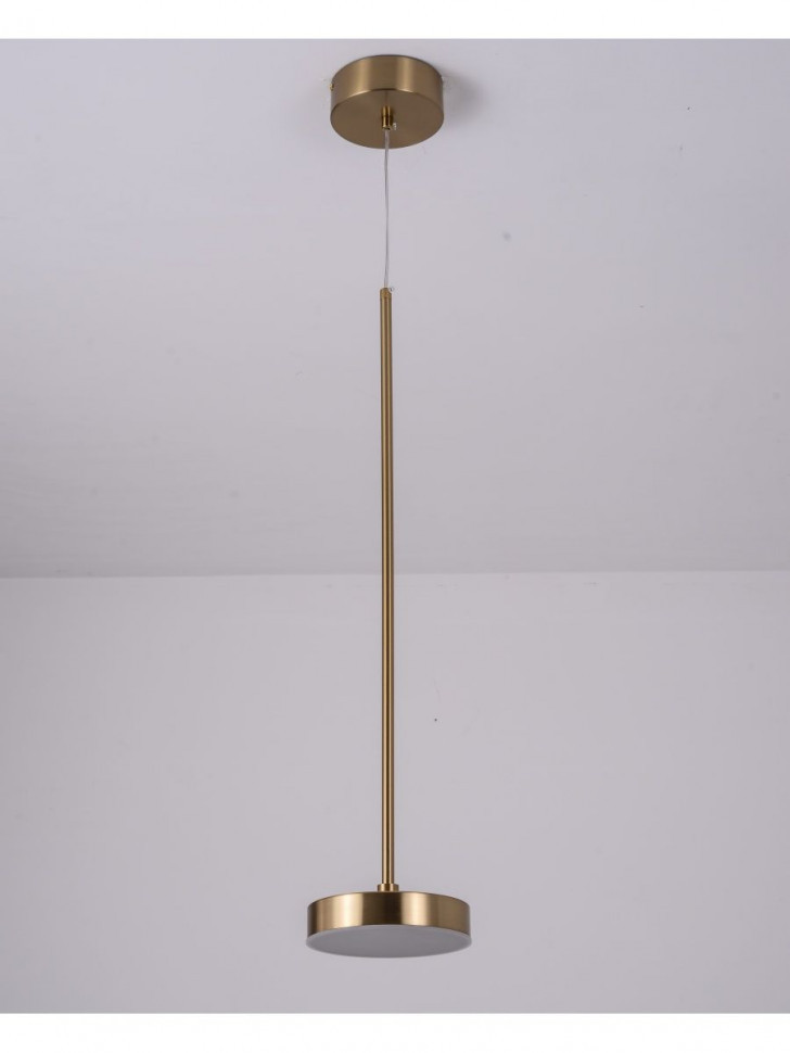 Подвесной светильник Zortes Lory ZRS.1055.01