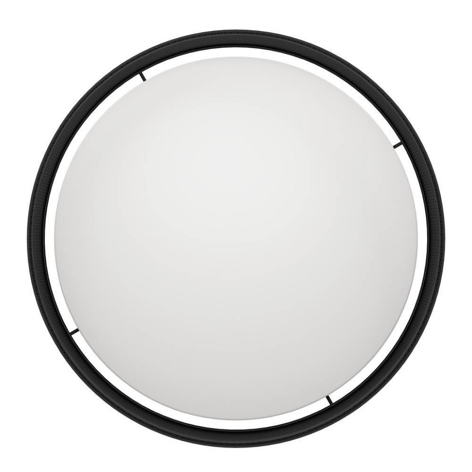 Потолочный светильник Eglo Luppineria 900795