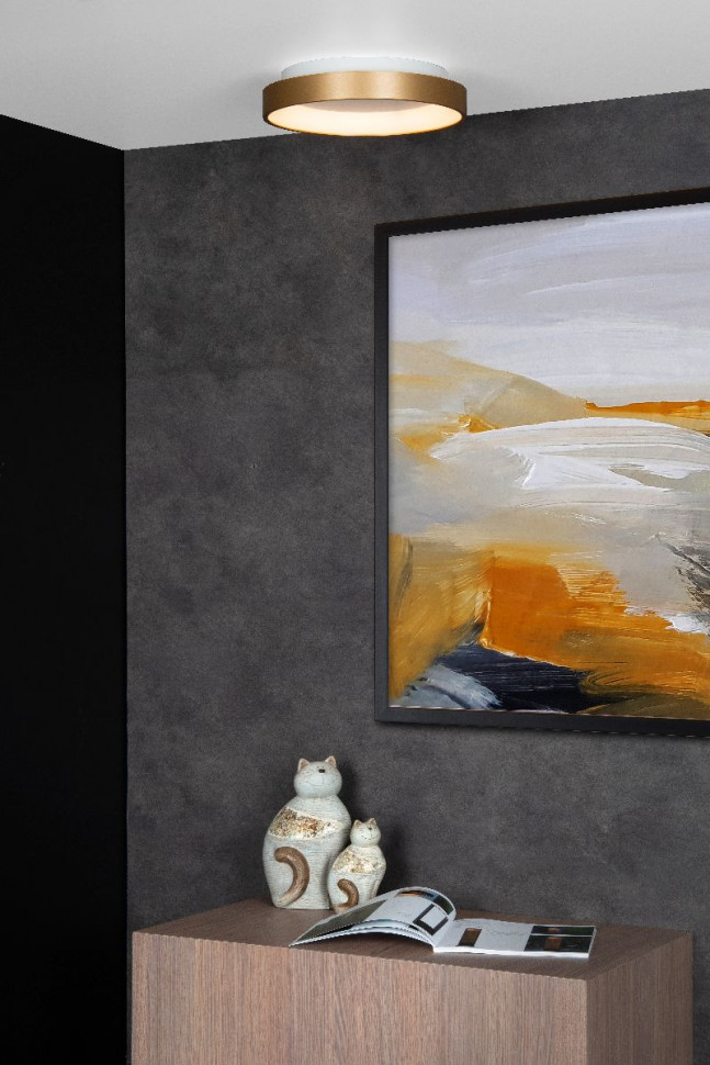 Потолочный светильник Lucide Vidal 46103/20/02