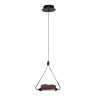 Подвесной светильник Lussole LSP-7196