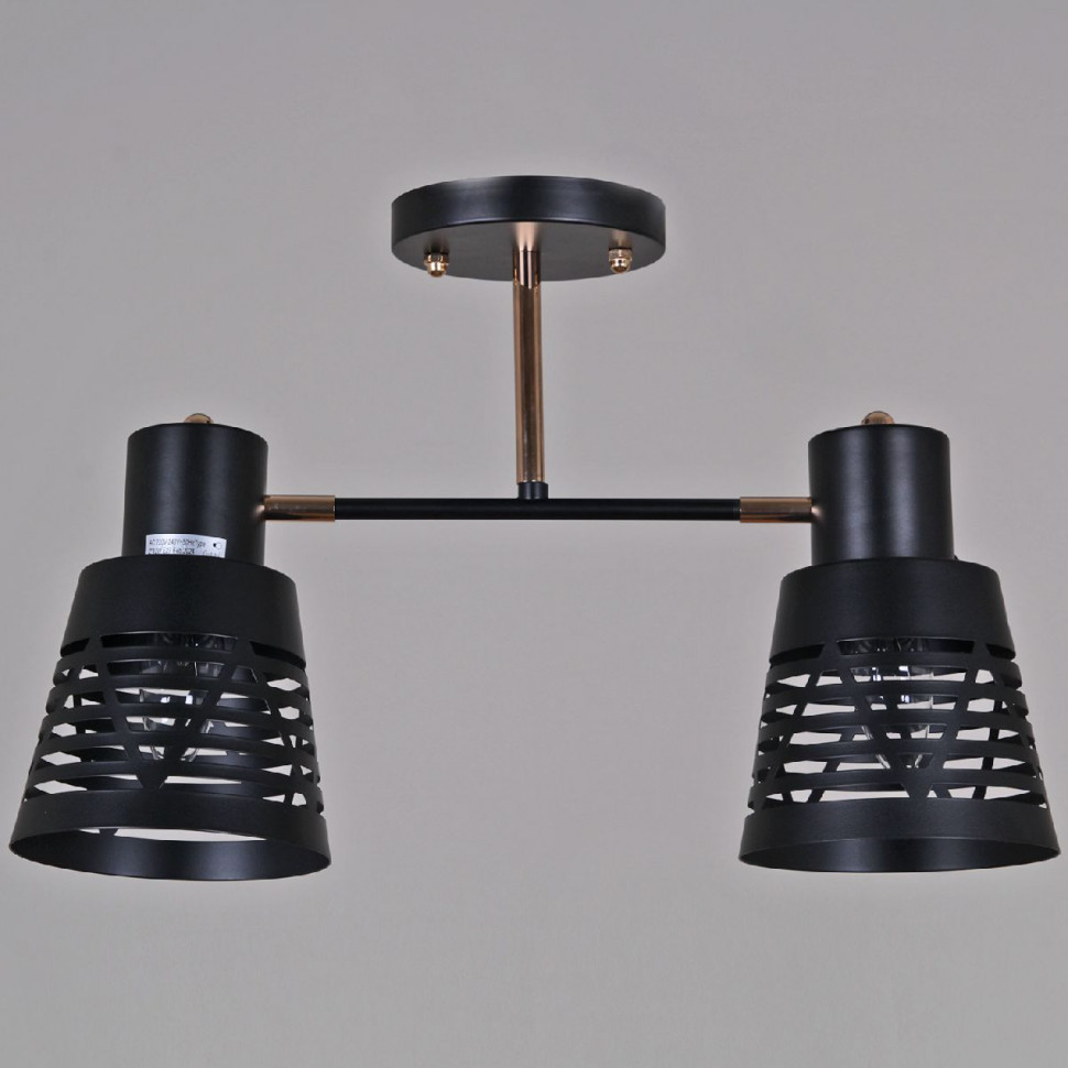 Потолочный светильник Reluce 06074-3.3-02 BK+FG