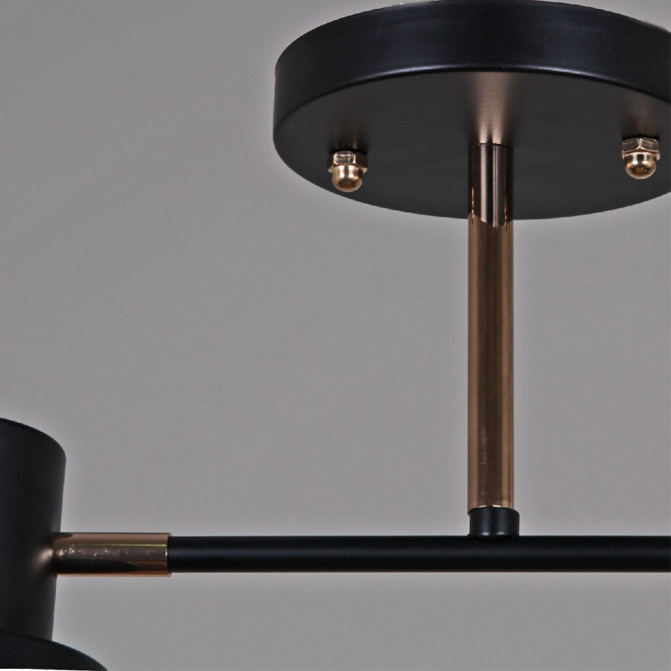 Потолочный светильник Reluce 06074-3.3-02 BK+FG