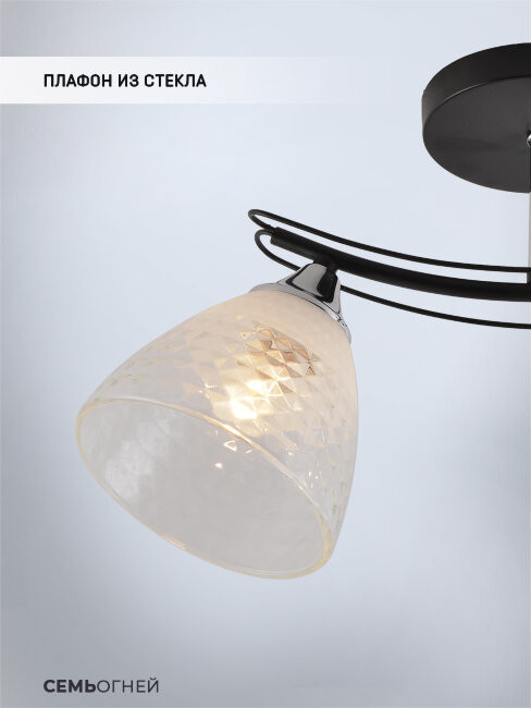 Потолочный светильник Seven Fires Dzhoun SF3382/2C-BK-CR-WT