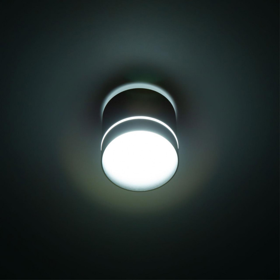 Накладной светильник Citilux Борн CL745021N