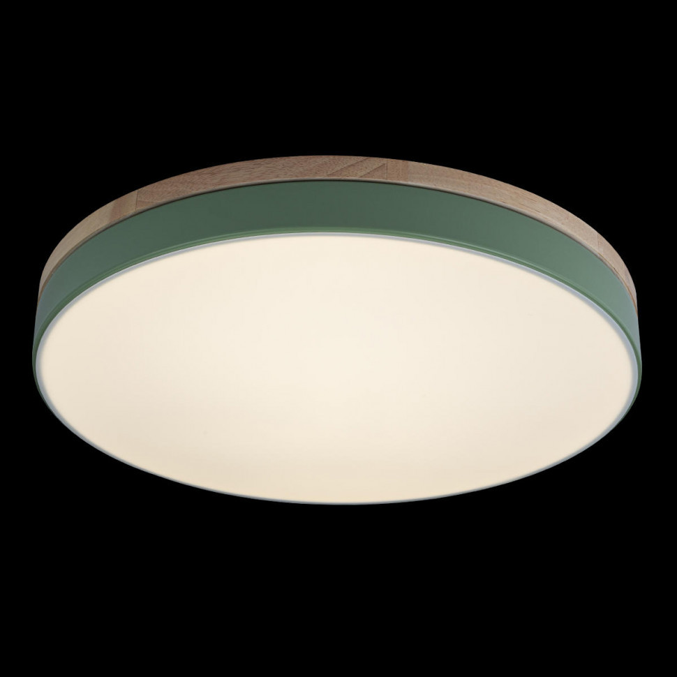 Потолочный светильник Loft IT AXEL 10001/36 Green