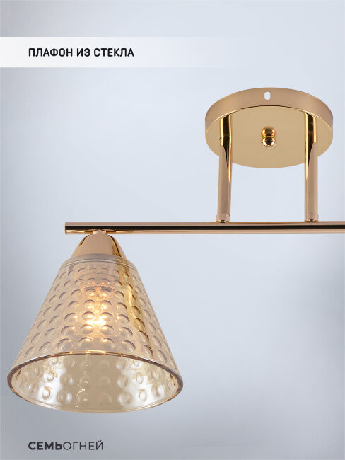 Потолочный светильник Seven Fires Fabius SF3391/2C-FGD-CL