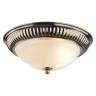 Потолочный светильник Arte Lamp 28 A3016PL-2AB