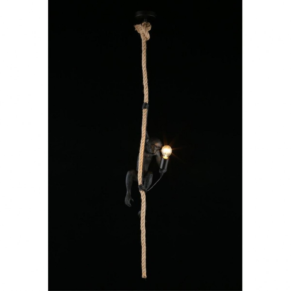 Подвесной светильник Aployt Magali APL.309.16.01