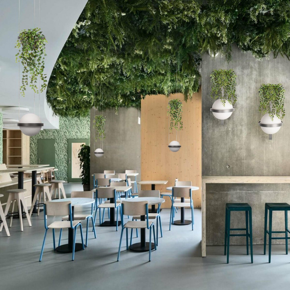 Подвесной светильник Loft IT Jardin 10121/1P Dark grey