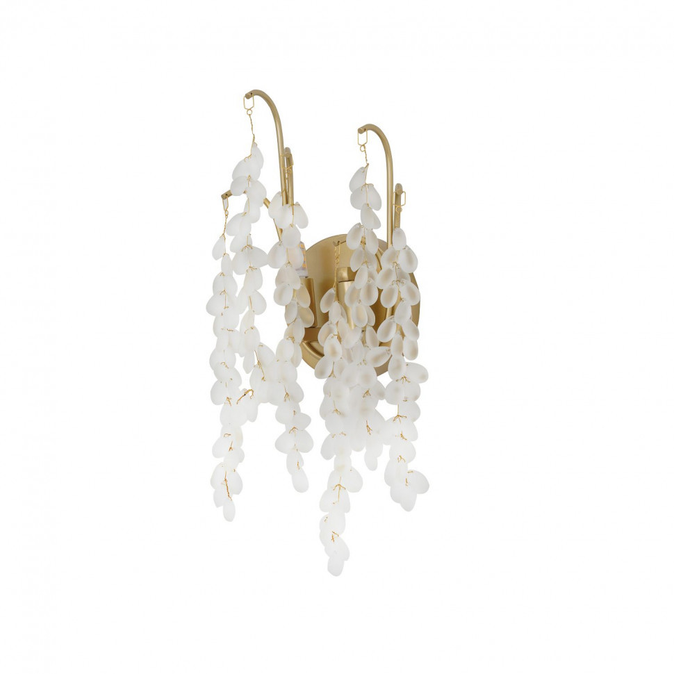 Настенный светильник Favourite Desmi 4108-2W