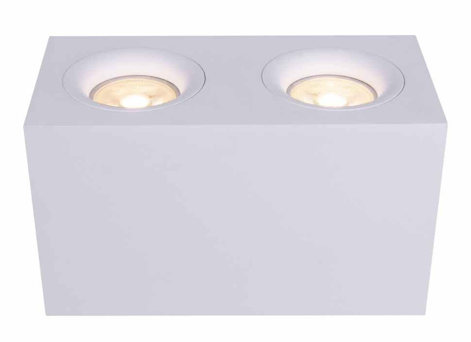 Потолочный светильник Technical C013CL-02W