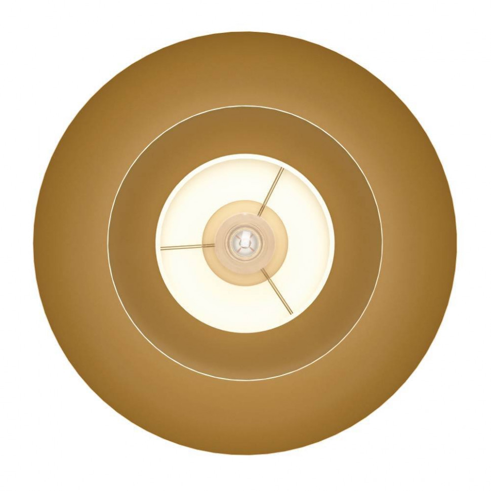 Потолочный светильник Eglo Cenciara 900848