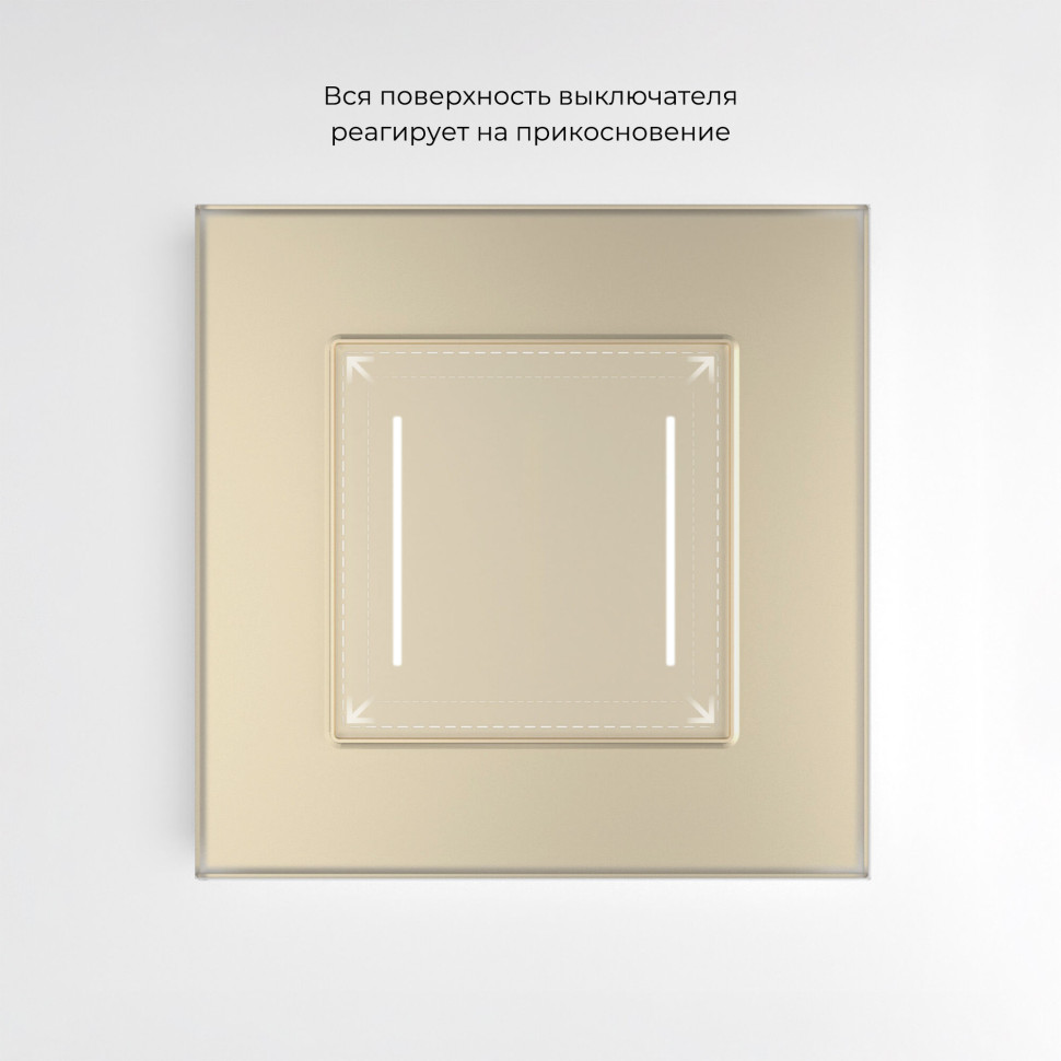 Сенсорный выключатель двухклавишный с подсветкой (шампань) W4522011