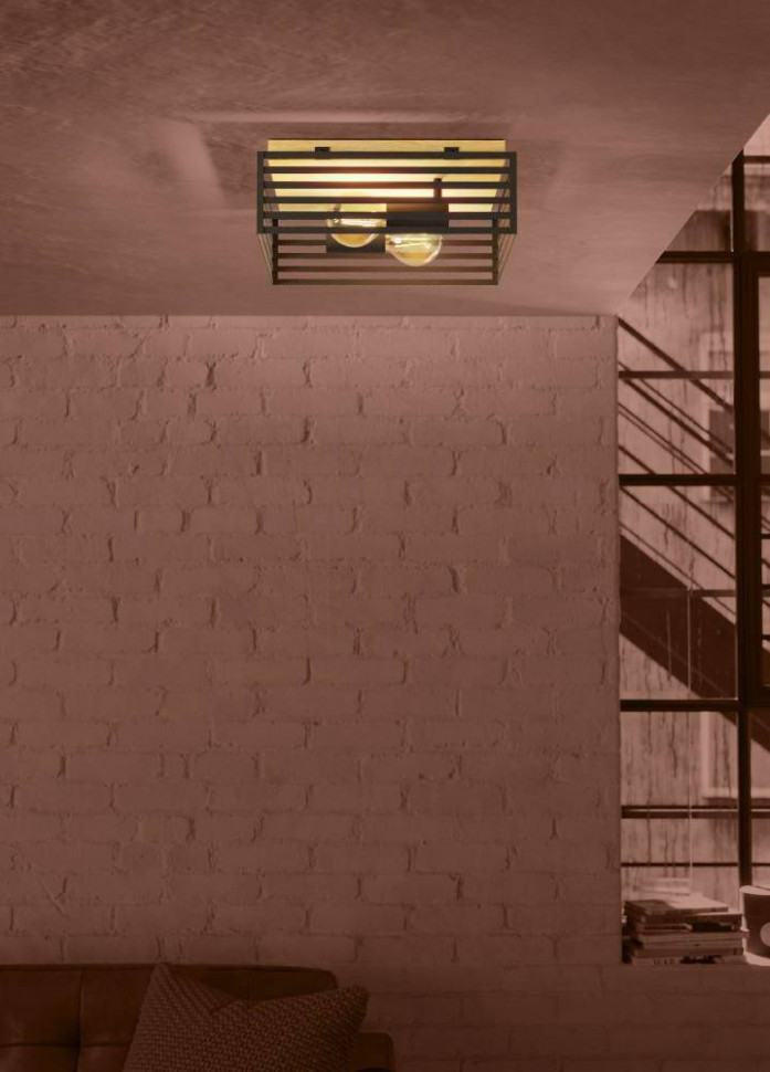 Потолочный светильник Eglo Cidraz 390163