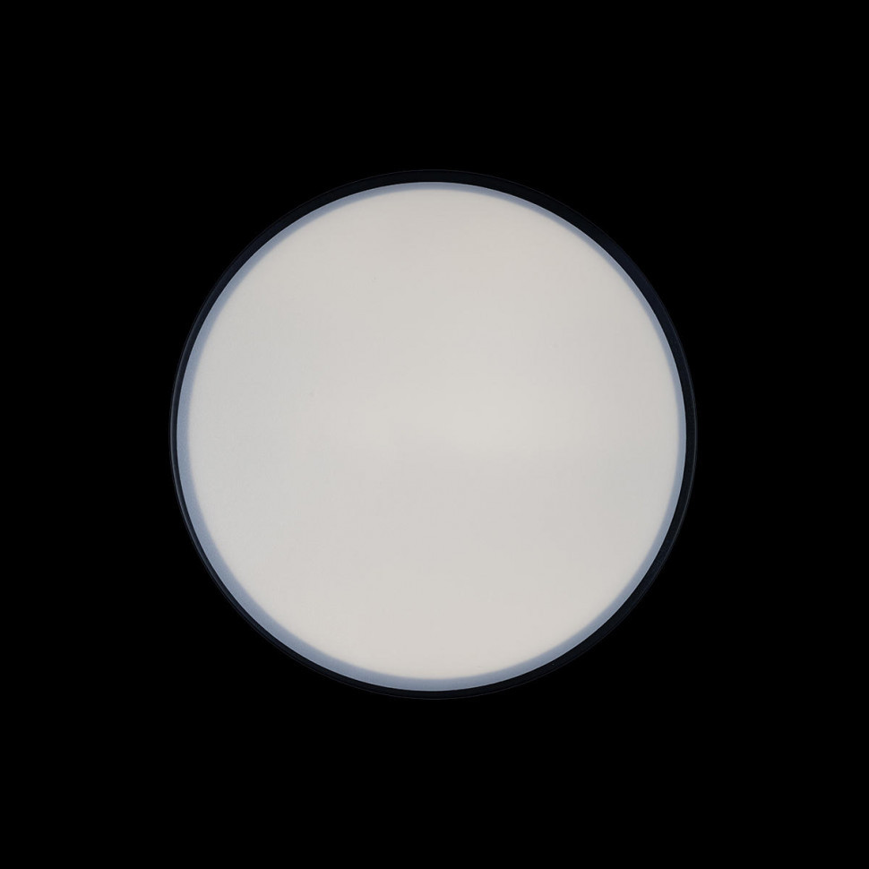 Потолочный светильник Loft IT AXEL 10002/12 Black