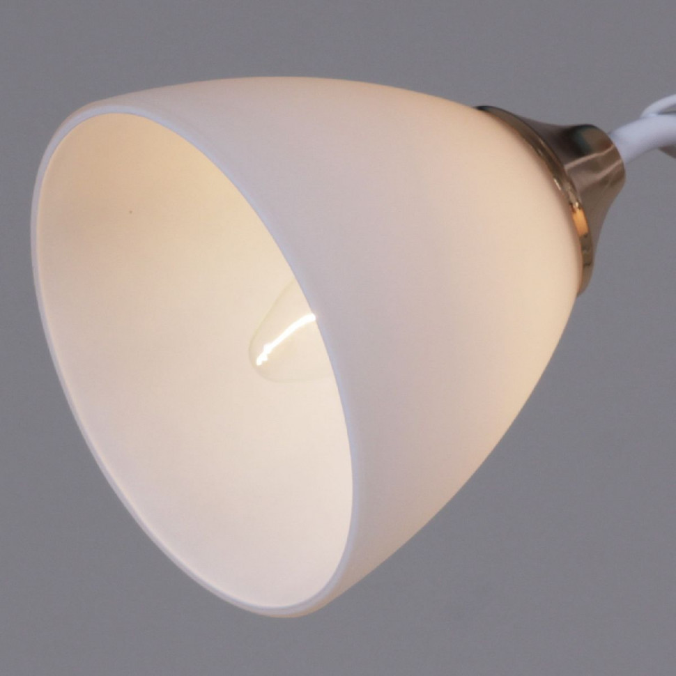 Потолочный светильник Reluce 06104-0.3-02 WH+FG