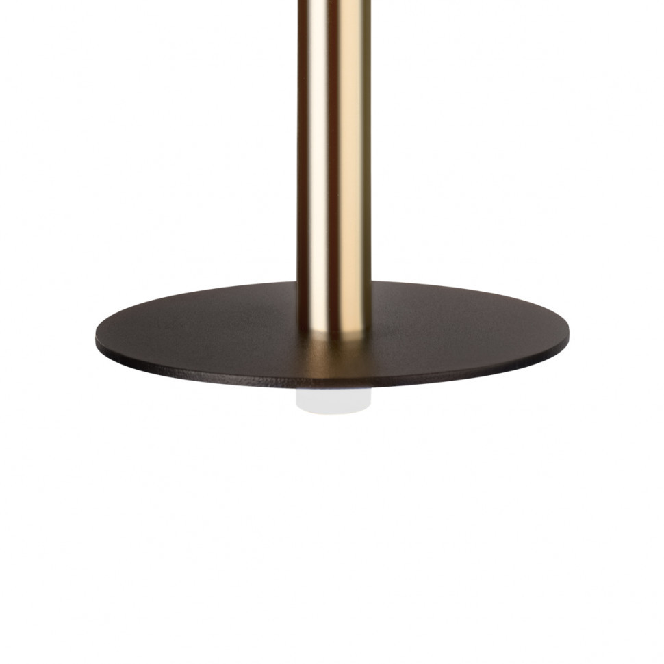 Подвесной светильник Loft IT Reed 10358/830 Disk AB