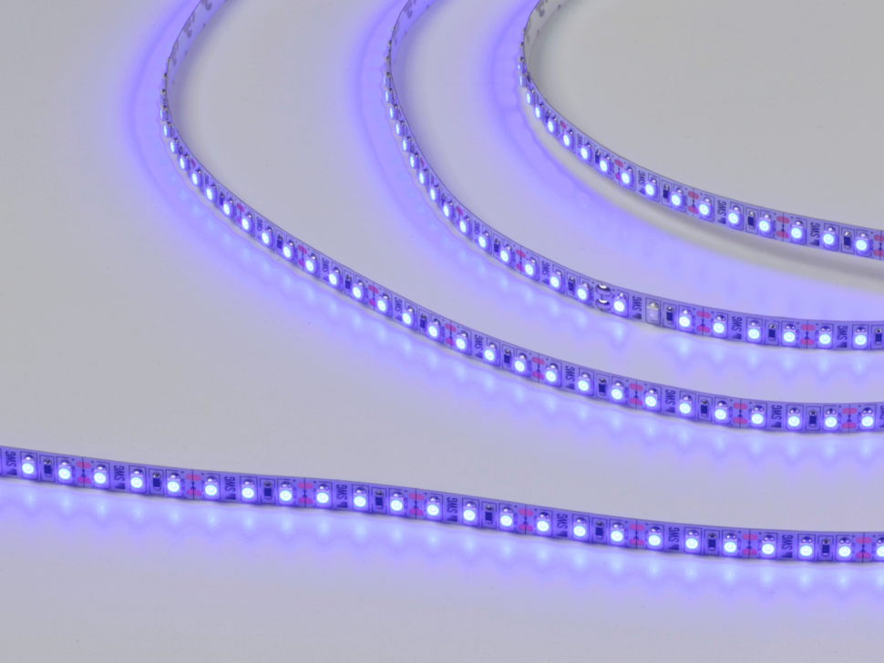  SWG Standard Светодиодная лента  3528, 120 LED/м, 9,6 Вт/м, 12В , IP20, Цвет: Синий, SWG3120-12-9.6-B-M