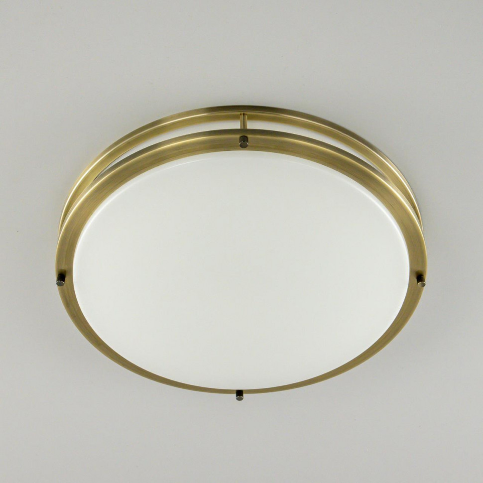 Настенно-потолочный светильник Citilux Бостон CL709503N