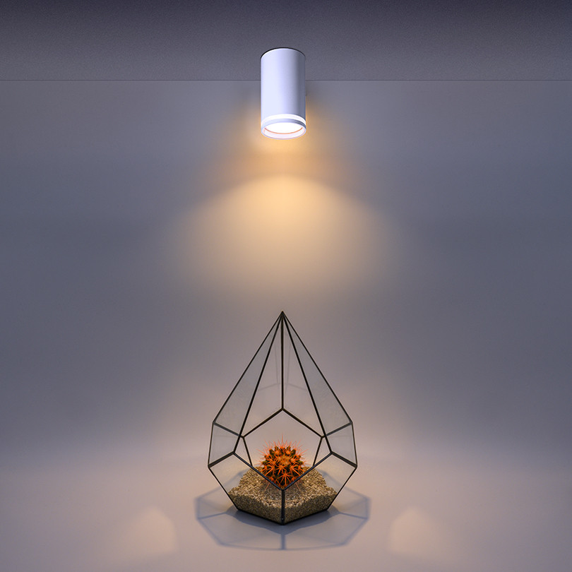 Накладной светильник Wolta Moderno WSL-GU10/02W