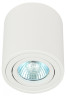 Накладной светильник Эра OL21 WH Б0054392