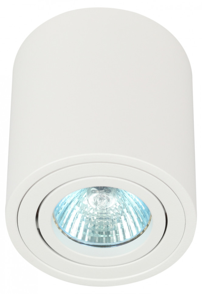 Накладной светильник Эра OL21 WH Б0054392