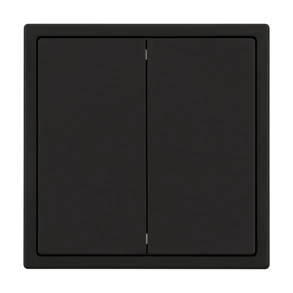 Выключатель двухклавишный, 250В, 10А, IP-20, NEO PLUS (черный)