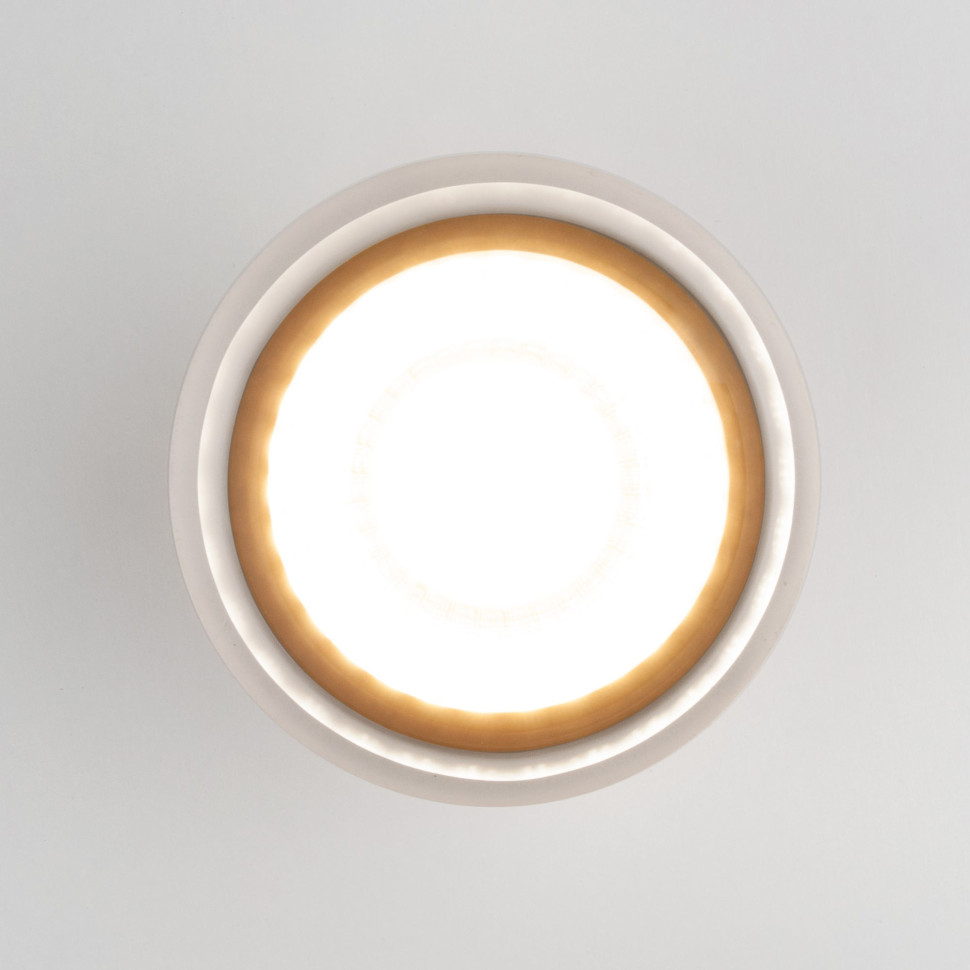 Уличный потолочный светильник Light LED 2107 IP54 35140/H белый