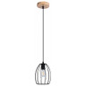 Подвесной светильник Illumico IL1011-1P-05 BK