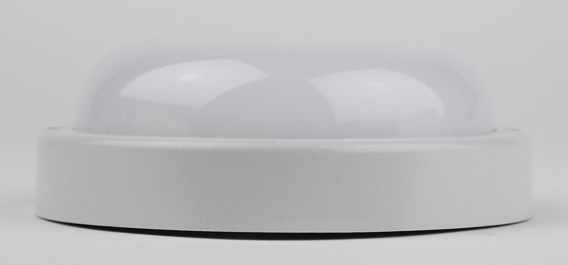 Настенно-потолочный светильник Эра SPB-201-0-65K-015 Б0047624