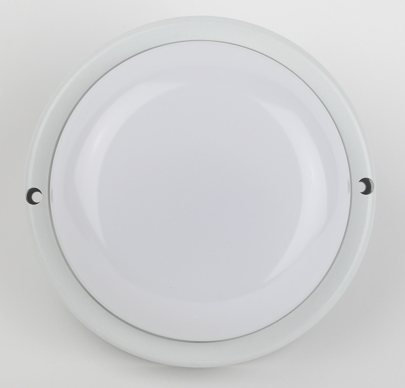 Настенно-потолочный светильник Эра SPB-201-0-65K-015 Б0047624