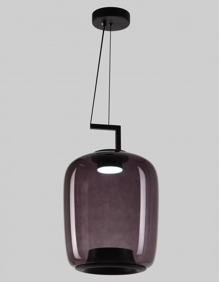 Светильник подвесной F2824-28