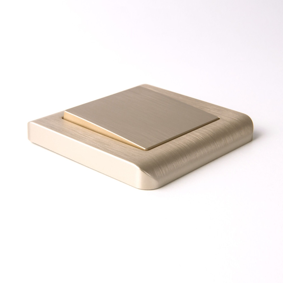 Рамка из поликарбоната на 1 пост Stream шампань W0012111