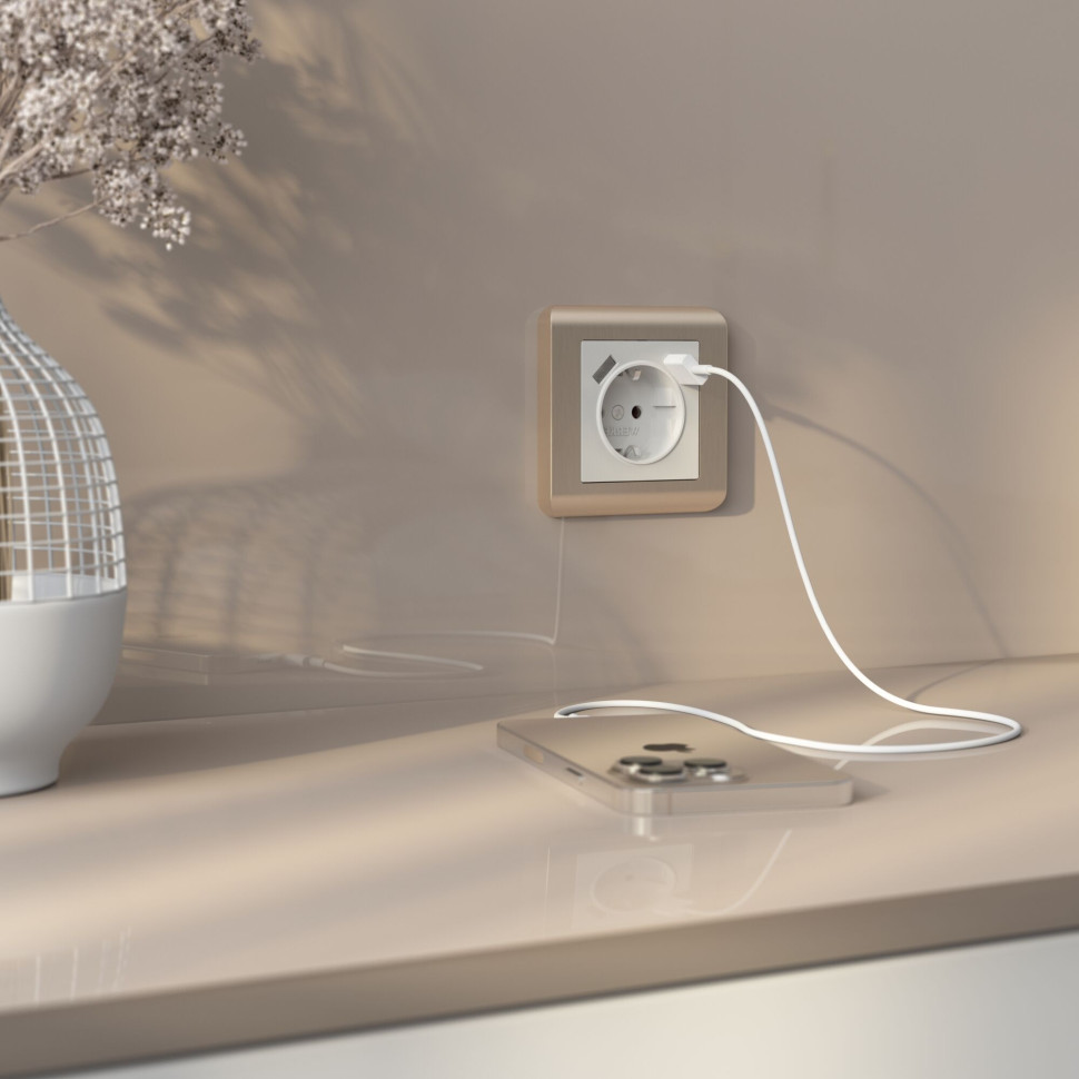 Рамка из поликарбоната на 1 пост Stream шампань W0012111