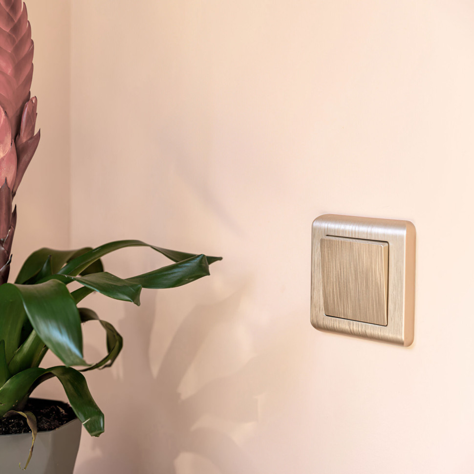 Рамка из поликарбоната на 1 пост Stream шампань W0012111