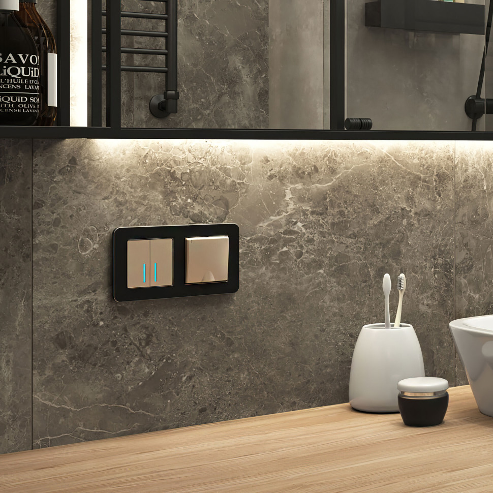 Рамка из металла на 2 поста Platinum черный W0022608