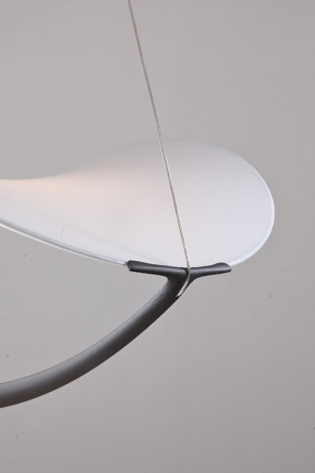 Подвесной светильник Zortes Quincy ZRS.1585.13