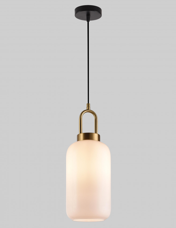 Светильник подвесной F2824-31