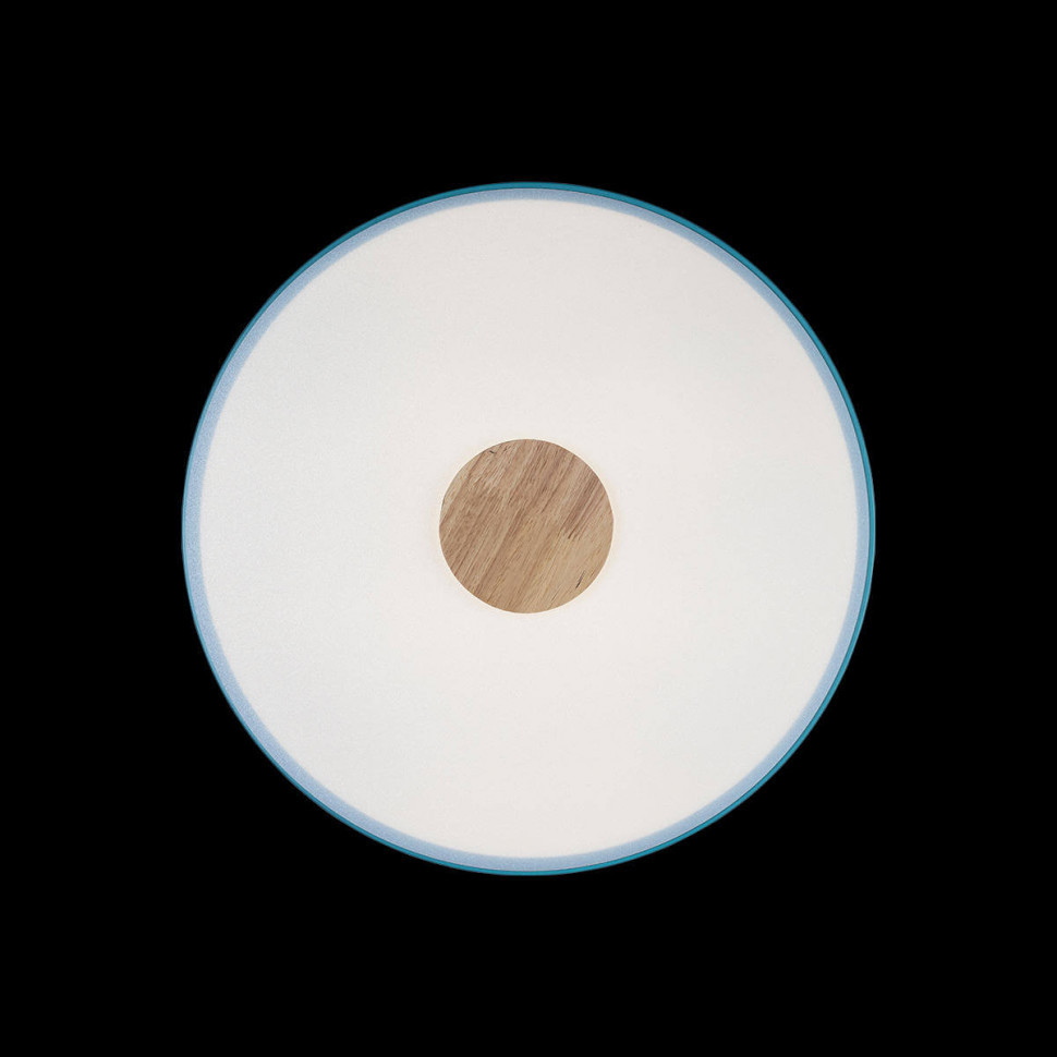 Потолочный светильник Loft IT AXEL 10003/24 Blue